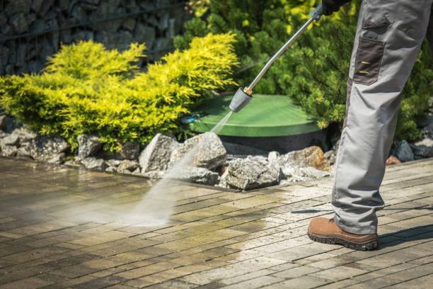Animal Enclosure Cleaning in Jacksonville Beach, FL